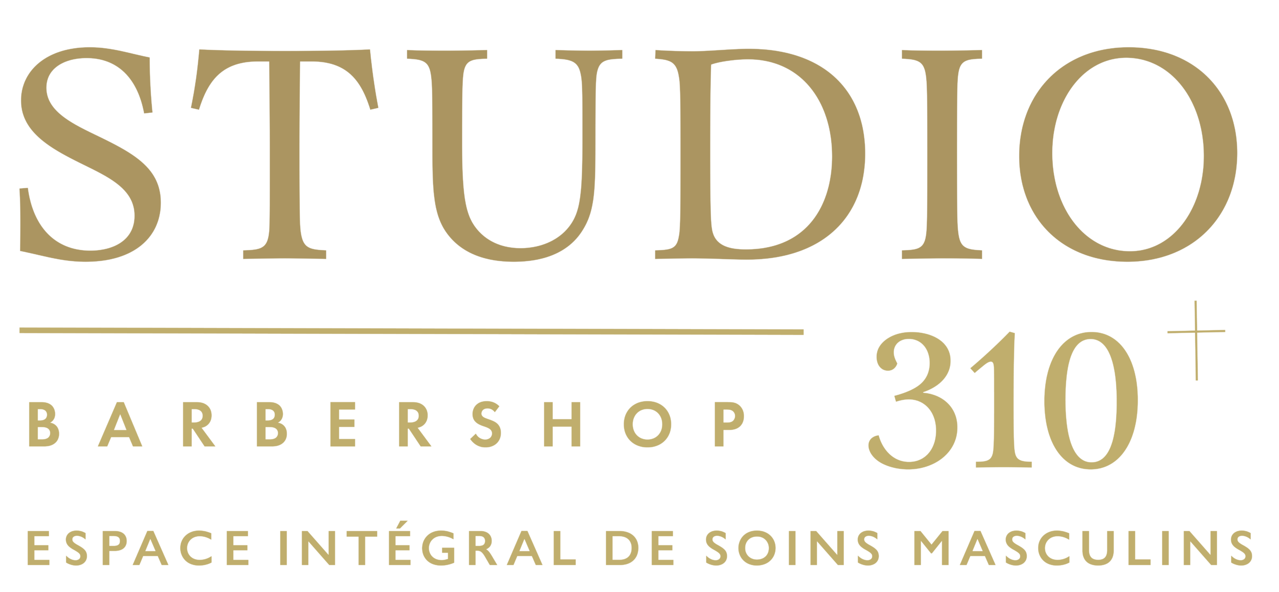 Studio 310 Logo last